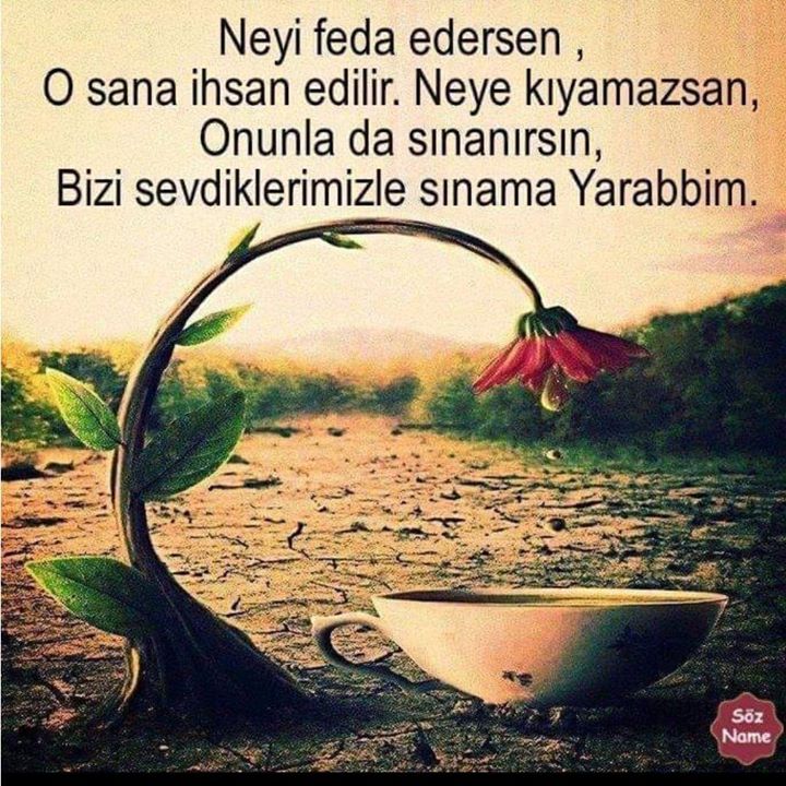 Beytullah