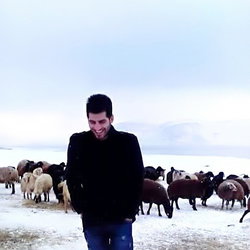 Kadir