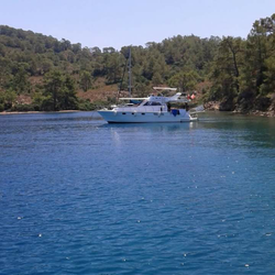 Ayşegül