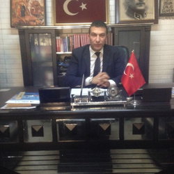 Enis
