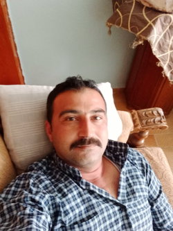 Şahin