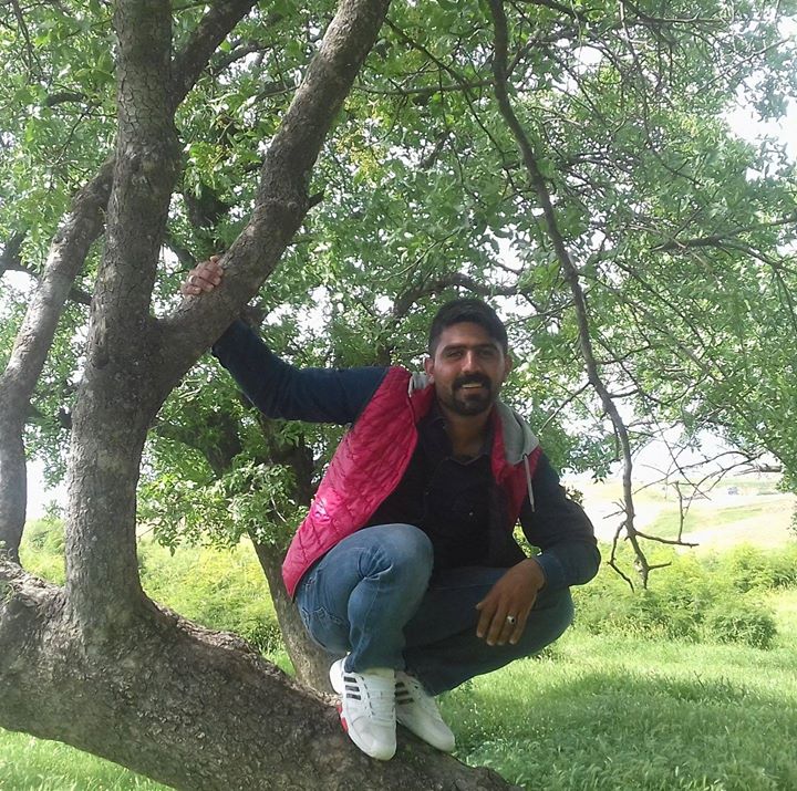 Brindarım