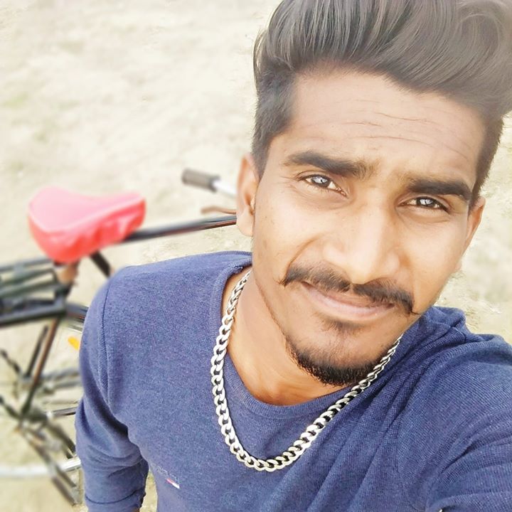 Bittu