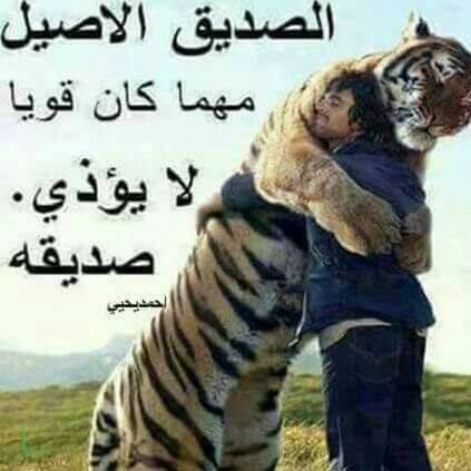 ابو