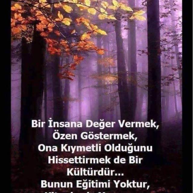 Mahmut