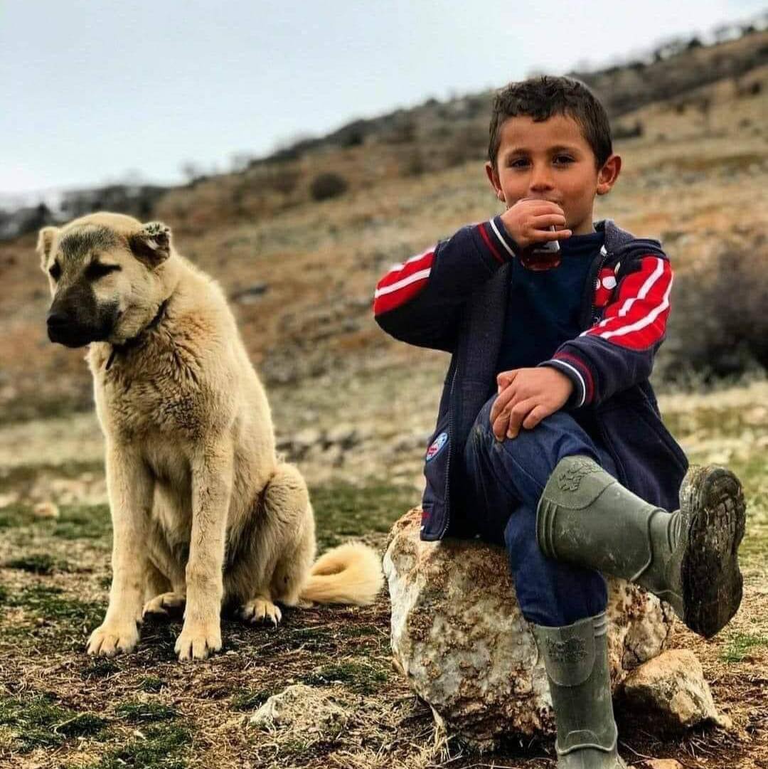 Mustafa
