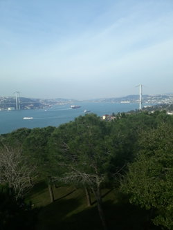 Sevim