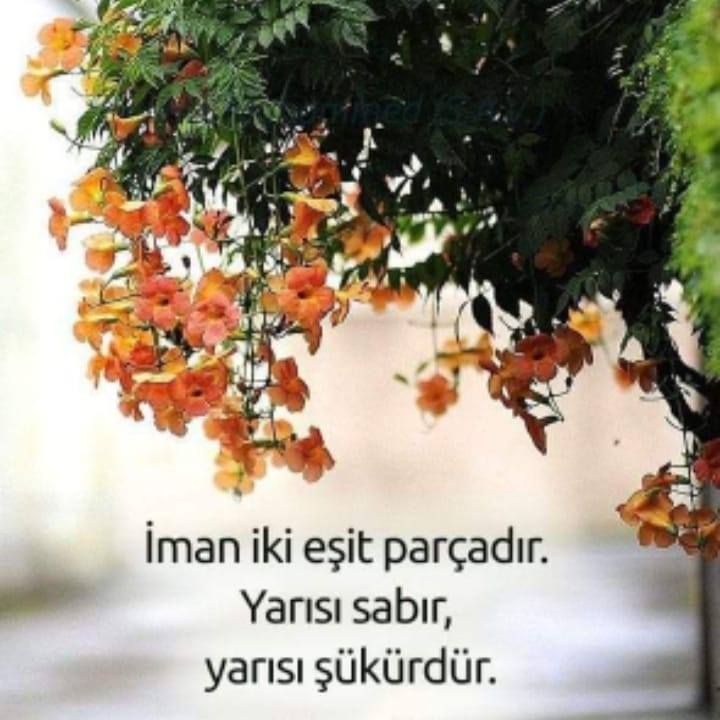 Erkan