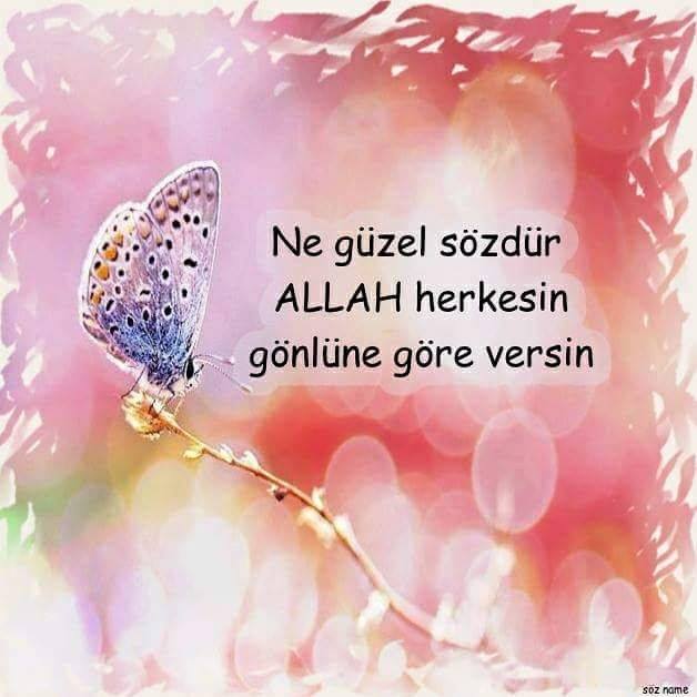 Filiz