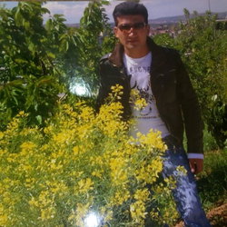 Kazim