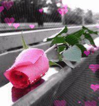 Dilek