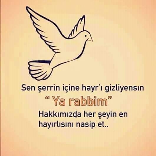 Nurcan