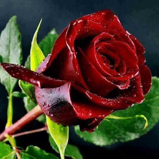 Emirhan