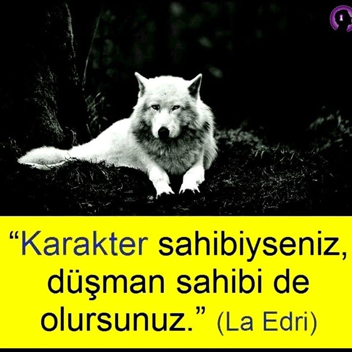Ilknur