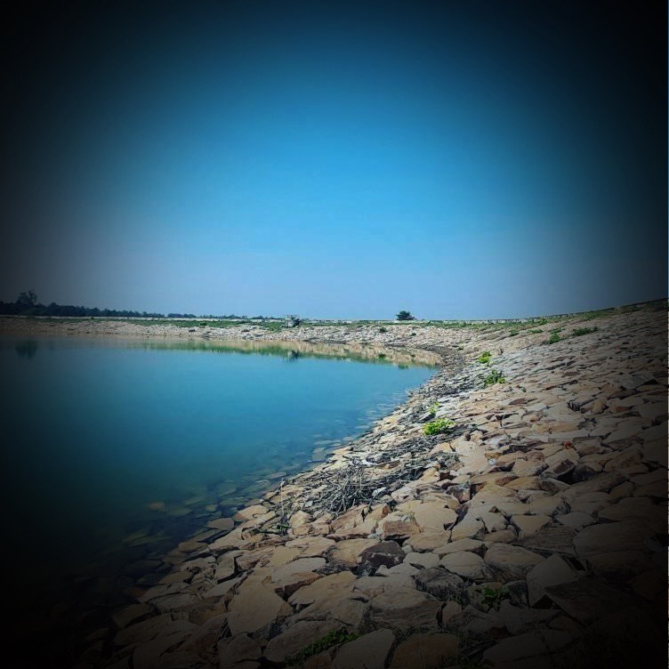 Mayank