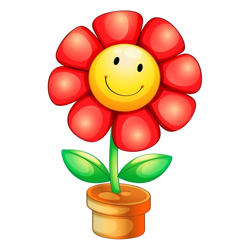 Pardis