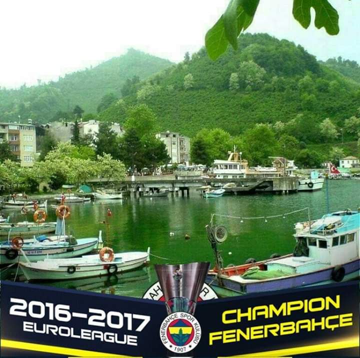 Ordu