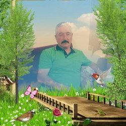 Hamdi