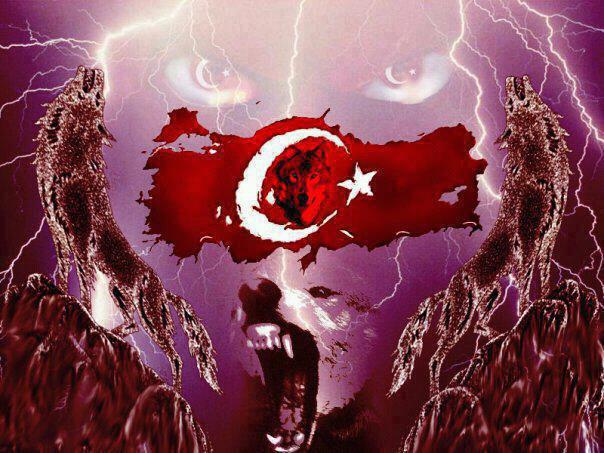 Ayse