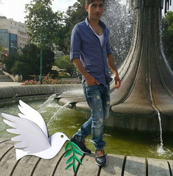 Ferdi
