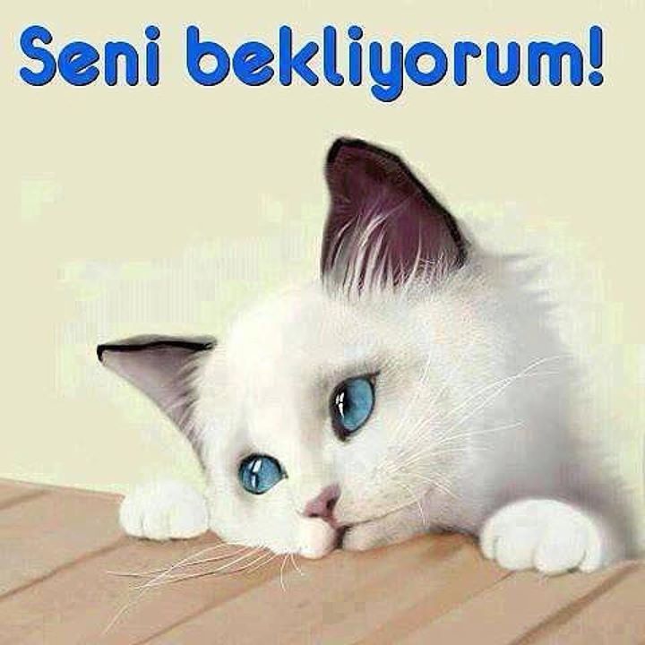 Sevil