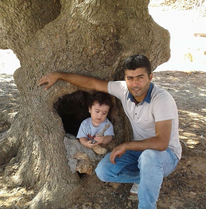 Davut