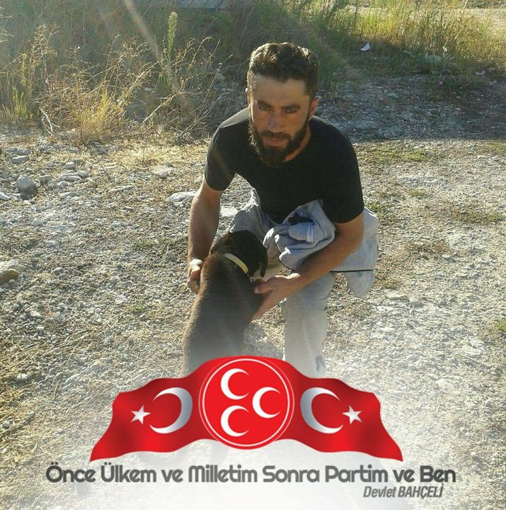 Murat
