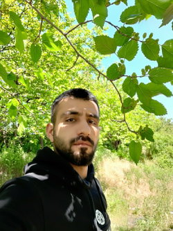 Ercan