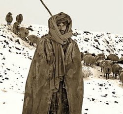 Avsar