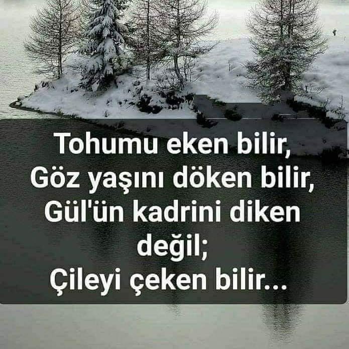 Zülfikar