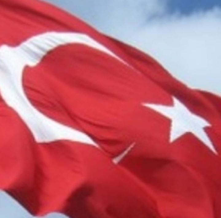Doğan