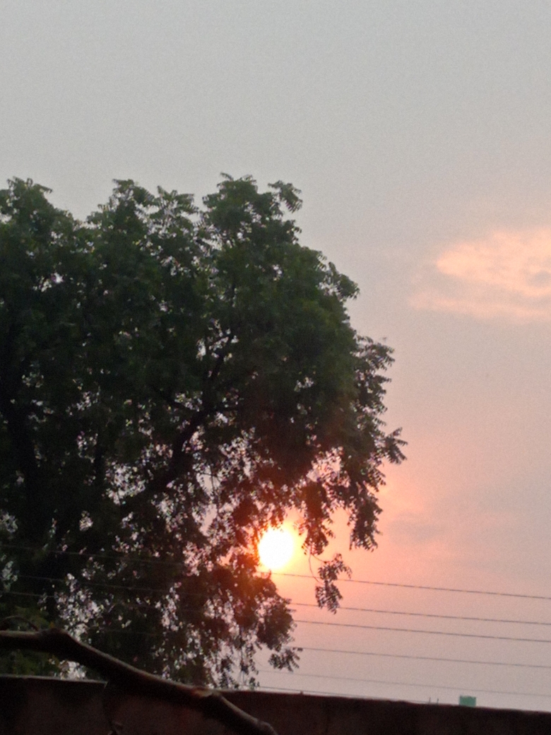 Daksh