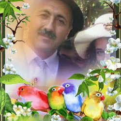 Selim
