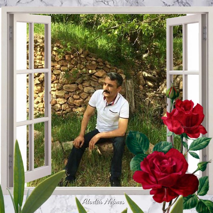 Harun
