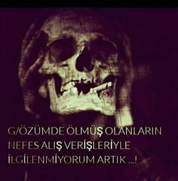 Elif
