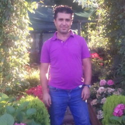 Ramis