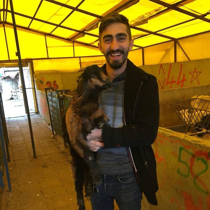 Özer