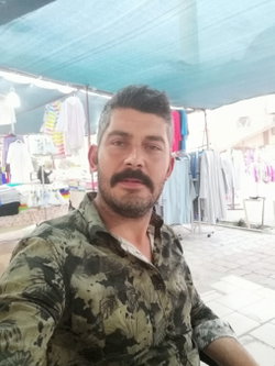 Doğan