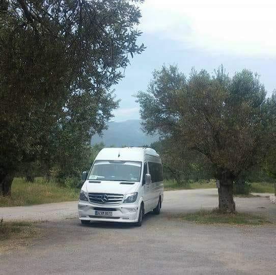 Celal