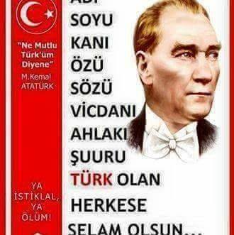 Veli