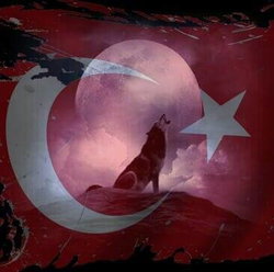 Kimsesiz
