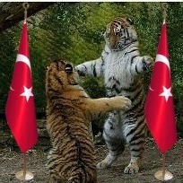 Besır