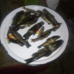 Memetali