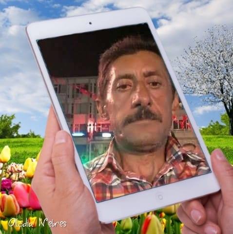 Sedat
