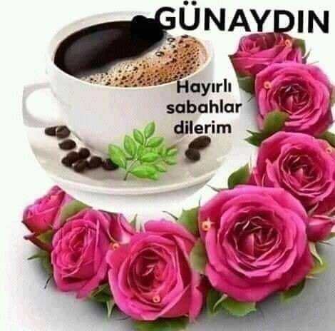 Funda