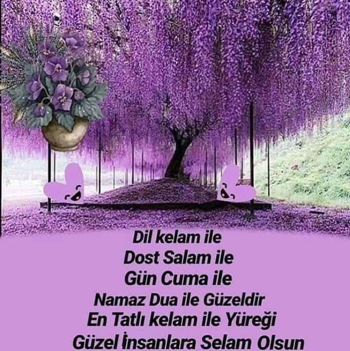 Yakup