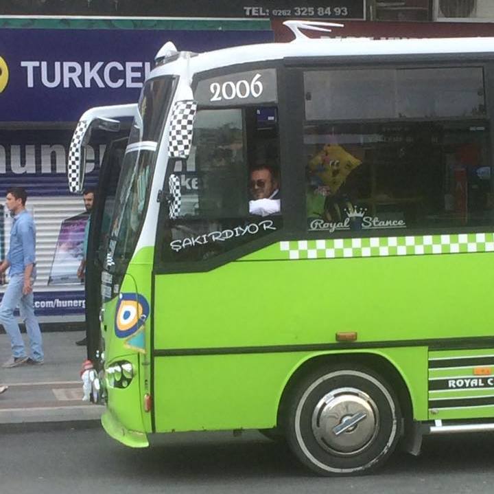 Tolga