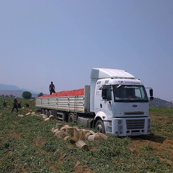 Rıdvan