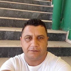 Sedat