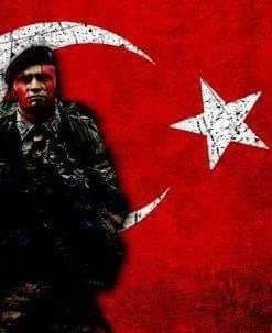 Başar
